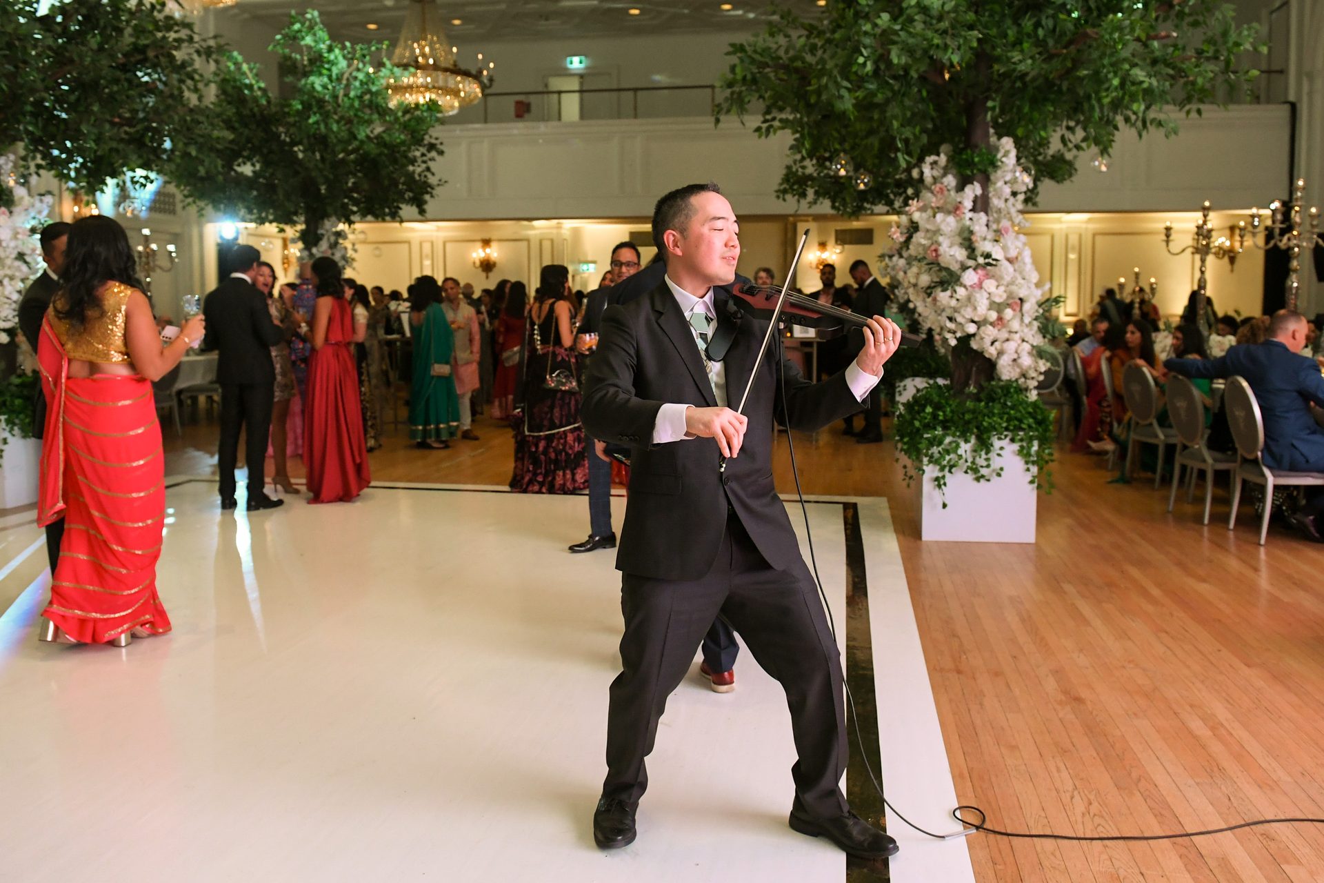 Live violin performance